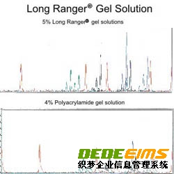 Lonza測序及突變檢測產品