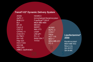 TransIT-X2? 動態傳遞系統