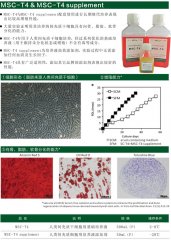 MSC-T4  無血清培養基