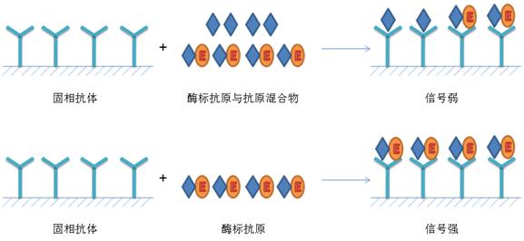 ELISA實(shí)驗(yàn)原理及步驟