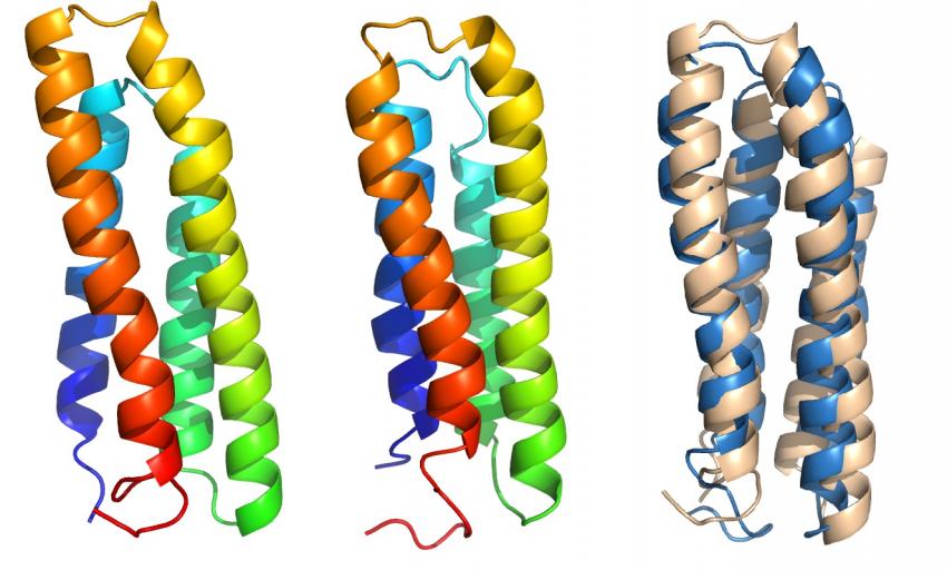 PNAS:細胞膜蛋白質放棄自己的秘密 