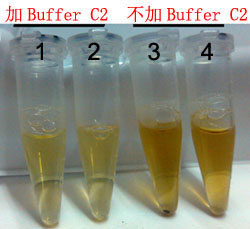 Soil DNA Kit土壤DNA