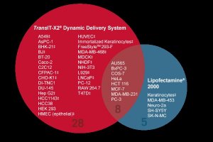 TransIT-X2? 動態傳遞系統